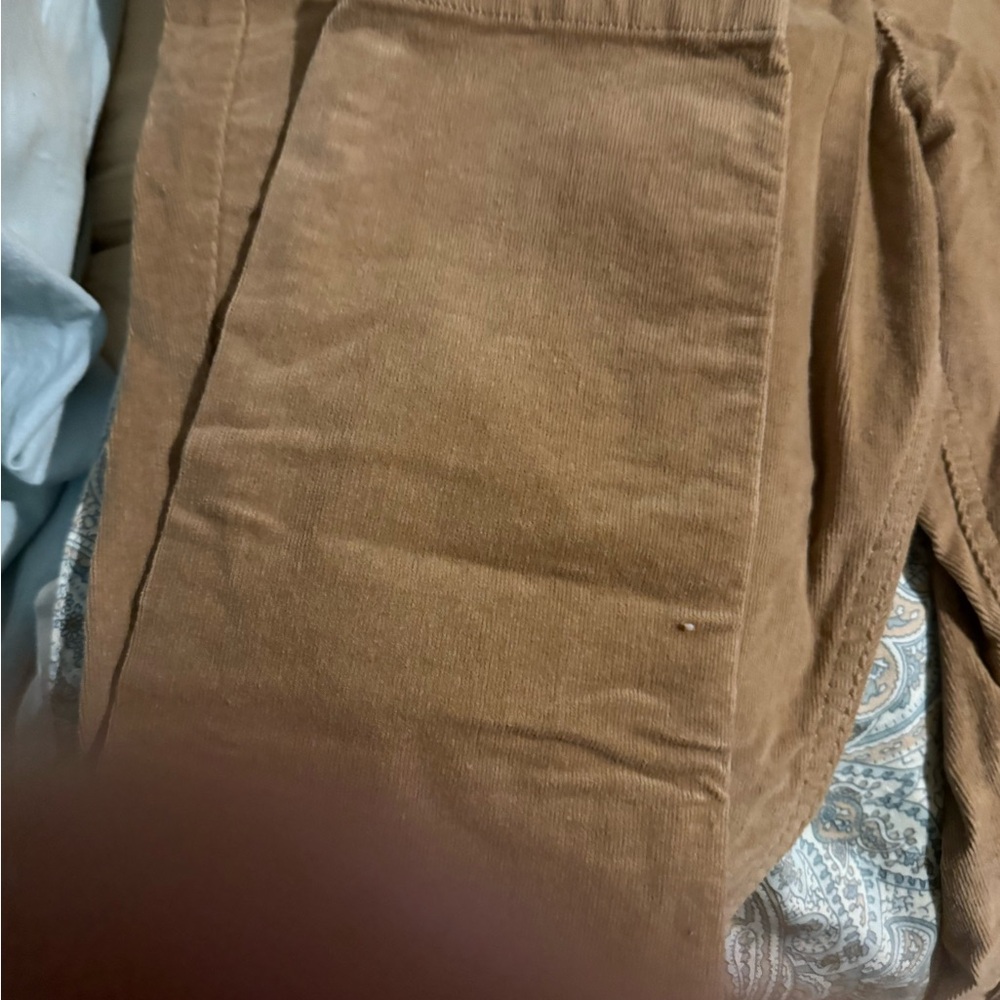 Dip Tan Corduroy Pants - Picture 3 of 4